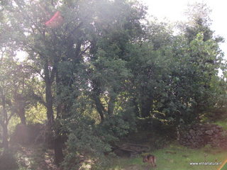 na-13-10-2013 10-49-04